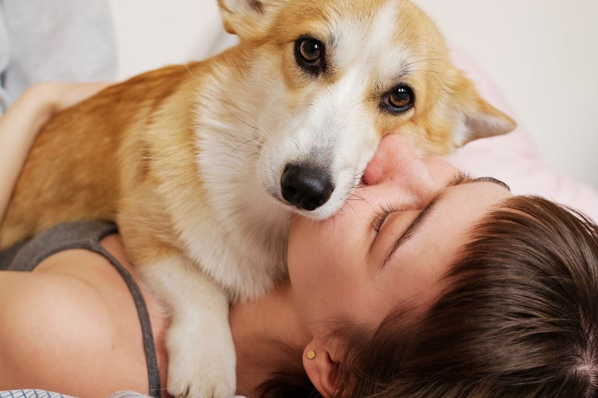 Ätherische Öle, eine sanfte Unterstützung für Hunde