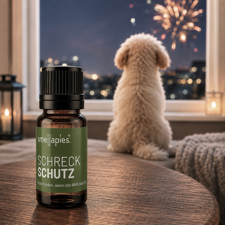 Hund sitzt neben dem smellapies SchreckSchutz für entspanntere Silvesterabende