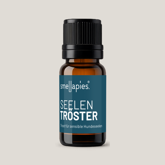 SeelenTröster Duftöl Starterset
