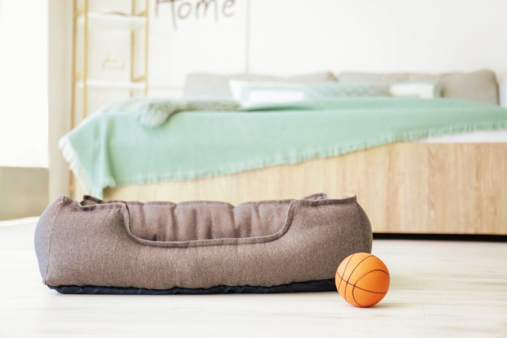 Blogbeitrag, Traumata beim Hund, Hundebettchen, smellapies