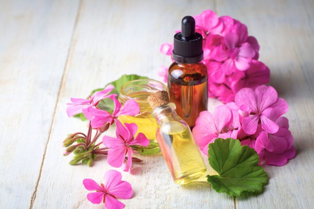 Blogbeitrag, Duftprofil Rosengeranie, Blätter und Ölfläschchen, smellapies