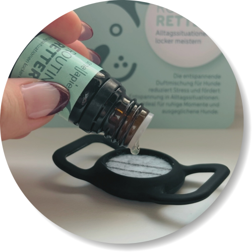 Sichere Anwendung mit dem smellieCase, smellapies